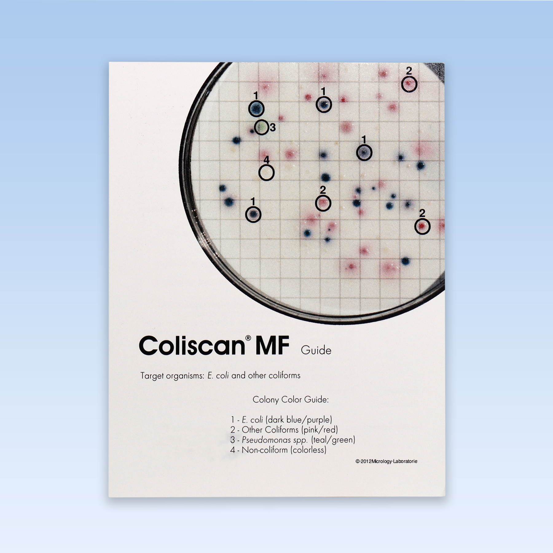 Coliscan® MF Colony Color Guide