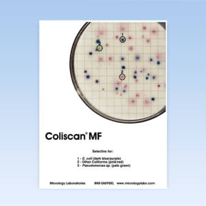 Coliscan® MF Colony Color Guide